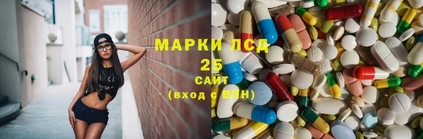 сатива Вязьма